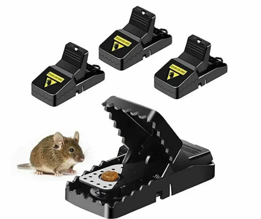 Pièges à Souris Réutilisables