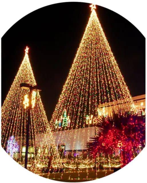 Guirlande LED multicolore pour intérieur et extérieur