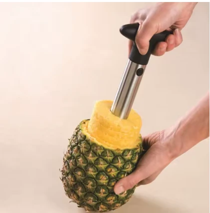 accessoire inox ananas Bénin
