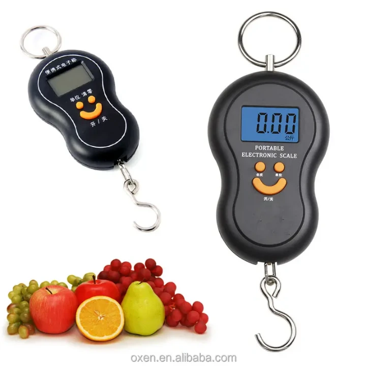 Balance électronique portable pesée précise