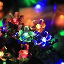 Diffuseur-lumineux-floral-cotonou.webp